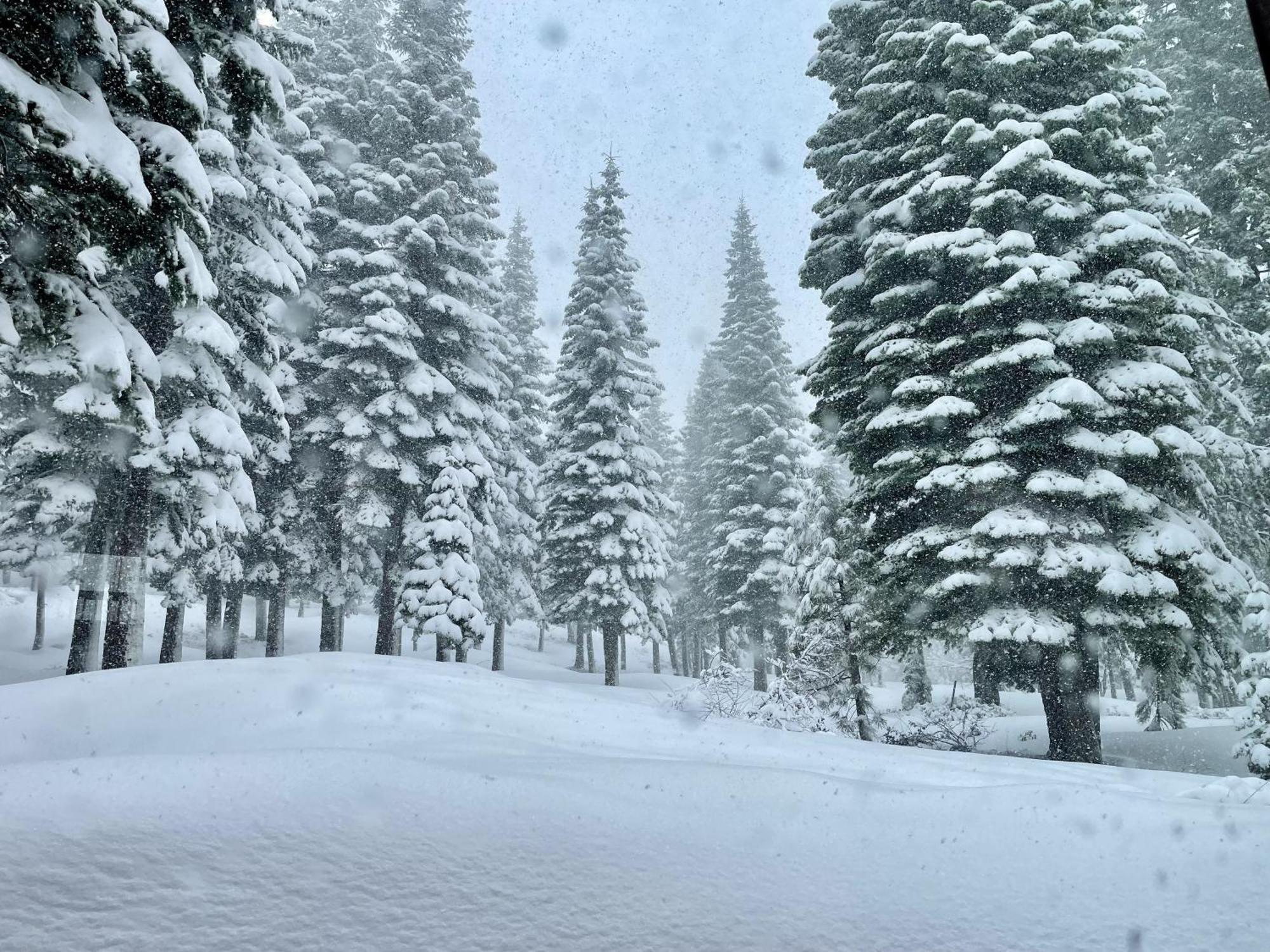 Bear Meadows Lodge - Hot Tub - Tahoe Donner Home ทรักกี ภายนอก รูปภาพ